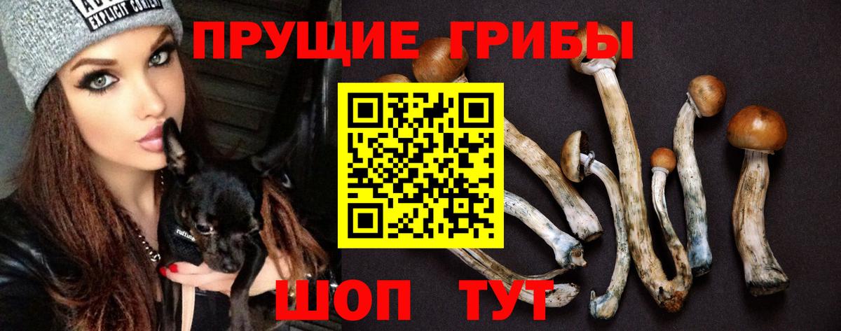 ГАШ Евпатория